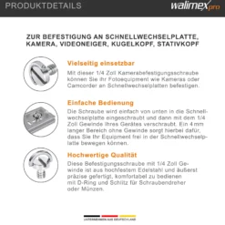 Walimex pro 2x Kamera Befestigungsschrauben 1/4 Zoll, Kameraschrauben aus Edelstahl, Kamera Schraube für Schnellwechselplatte, Stativkopf, Kugelkopf