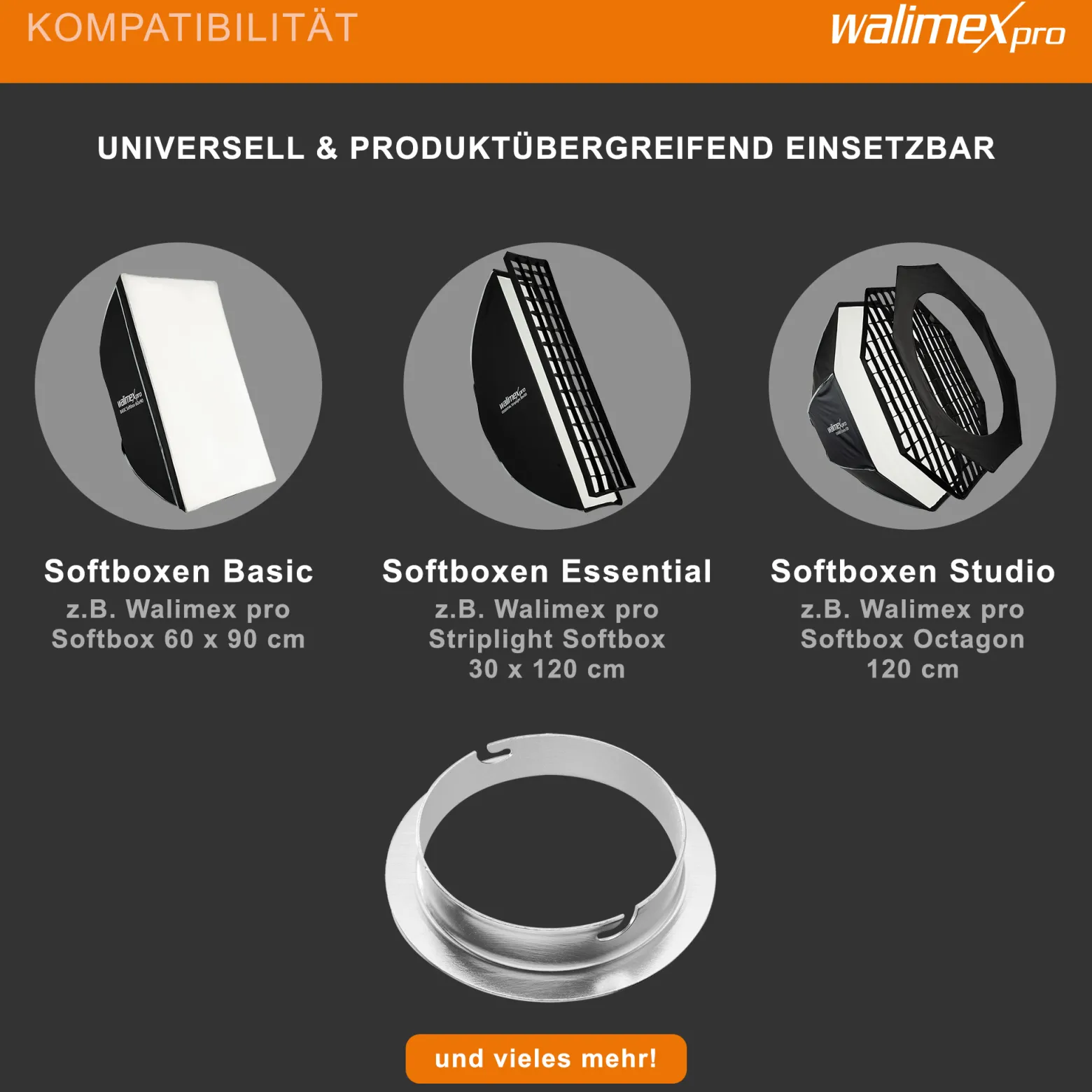 Walimex Softboxadapter für Octagon Striplight - 152 x 152 x 30 mm - aus Metall - Lichtformer-Adapter für Softboxen Striplight - kompatibel mit Elinchrom Blitzsystemen