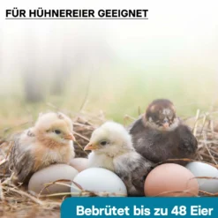 Wiltec Automatische Brutmaschine für 48 Eier, Inkubator mit vollautomatischem Wendesystem, Brutautomat mit Temperatursteuerung und Feuchtigskeitsregulierung, Brutkasten zum Eier ausbrüten