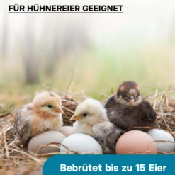 Wiltec Automatische Brutmaschine für 15 Eier, Inkubator mit vollautomatischem Wendesystem, Brutautomat mit Temperatursteuerung und Feuchtigskeitsregulierung, Brutkasten zum Eier ausbrüten