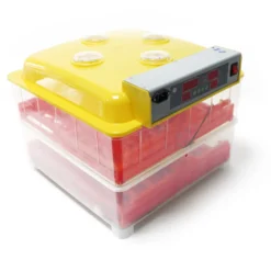 Wiltec Automatische Brutmaschine für 72 Eier, Inkubator mit vollautomatischem Wendesystem, Brutautomat mit Temperatursteuerung und Feuchtigskeitsregulierung, Brutkasten zum Eier ausbrüten