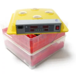 Wiltec Automatische Brutmaschine für 72 Eier, Inkubator mit vollautomatischem Wendesystem, Brutautomat mit Temperatursteuerung und Feuchtigskeitsregulierung, Brutkasten zum Eier ausbrüten