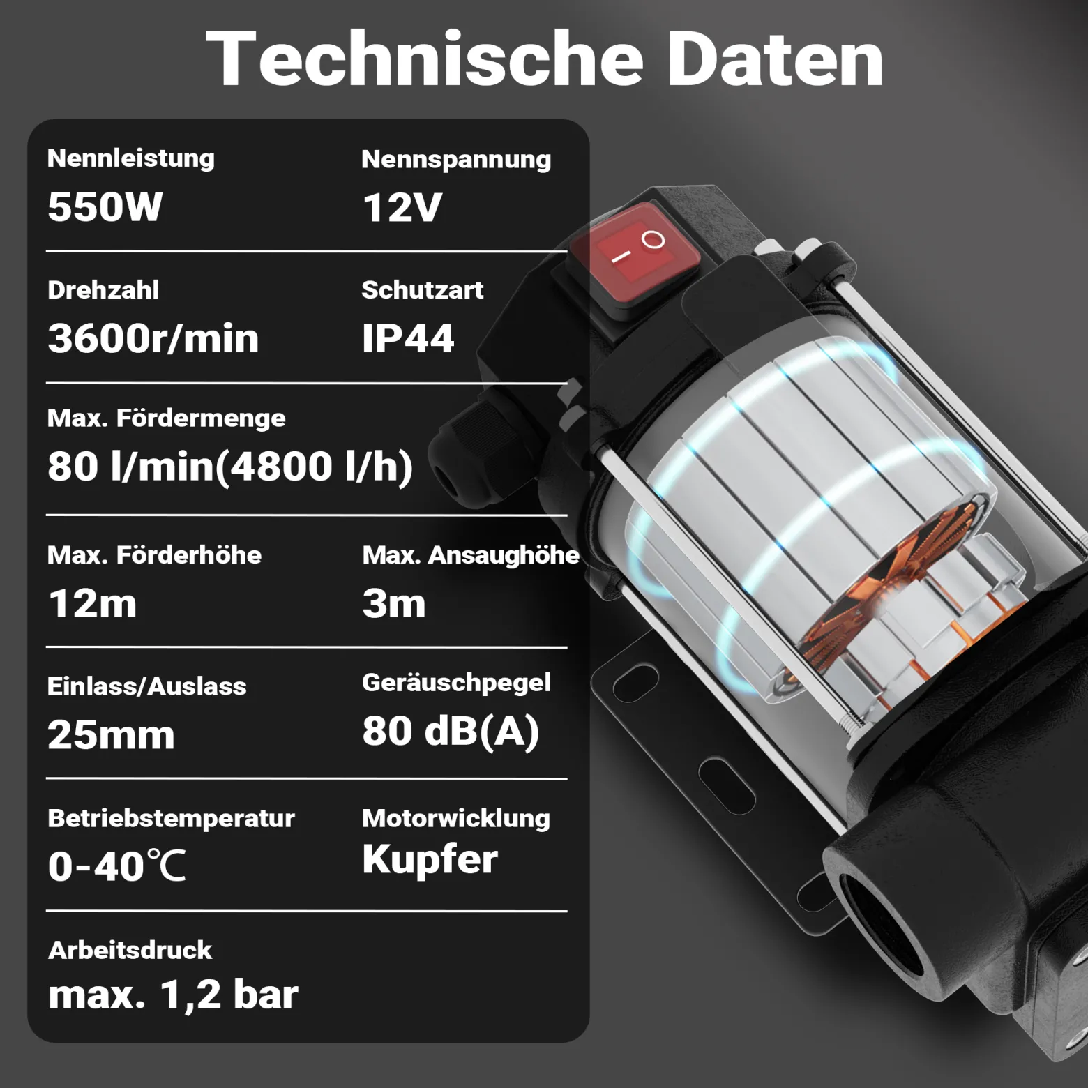 Wiltec Bio Dieselpumpe 12 V, 550 W, 80 l/min, Heizölpumpe selbstansaugend, Absaugpumpe für Diesel, Biodiesel, Heizöl, tragbare mobile Umfüllpumpe