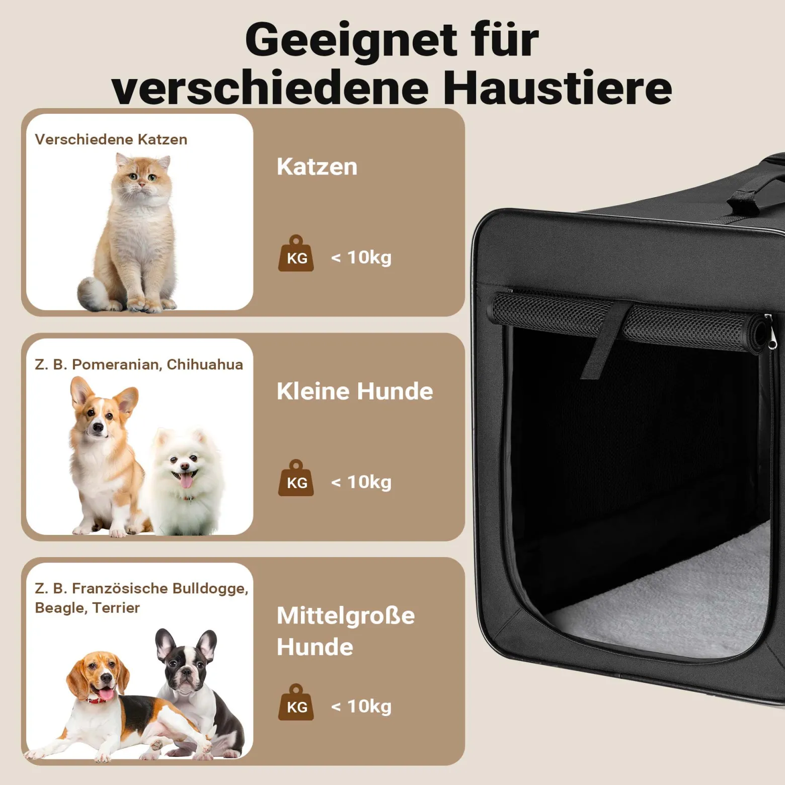 Wiltec Faltbare Transportbox für Hunde, Katzen M (58x46x53 cm), robust, leicht, sicher, Hundebox mit entnehmbarem Kissen, Schwarz