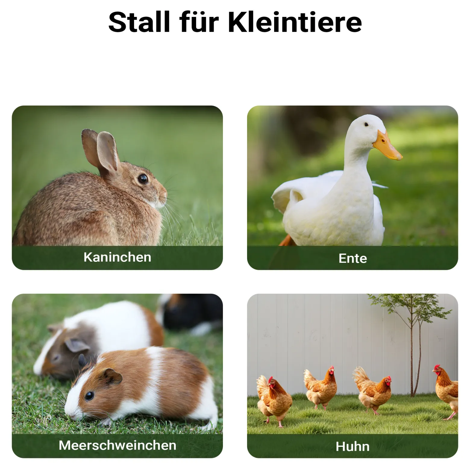 Wiltec Hasenstall 1220 x 630 x 920 mm mit Freilaufgehege und erhöhtem Unterschlupf aus Fichtenholz, Kaninchenkäfig mit 2 Etagen, Kleintierstall