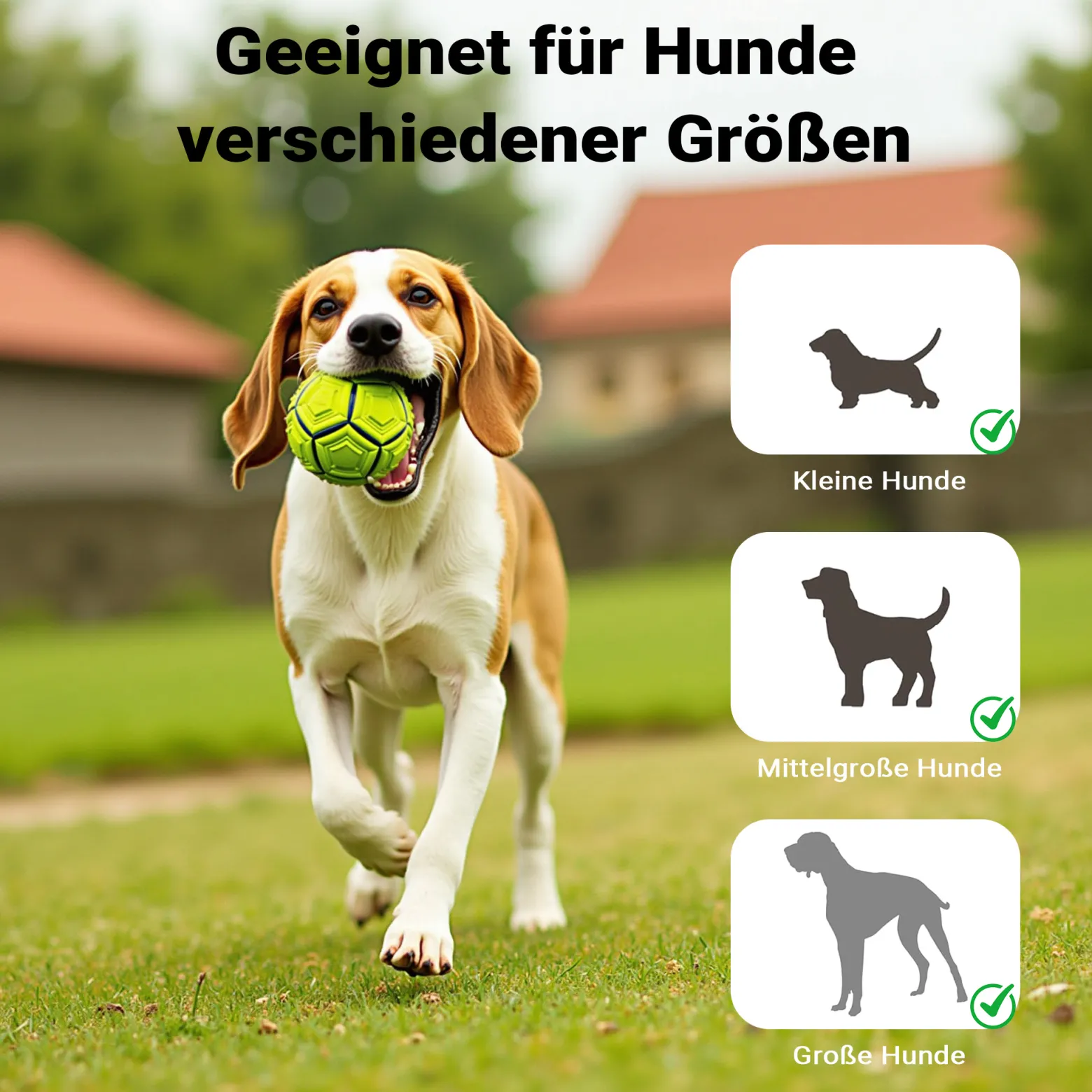 Wiltec Hunderampe faltbar, 156 x 40 cm, geklappt 79 x 40 cm, aus Kunststoff, rutschsicher, Traglast bis zu 90 kg, Haustierrampe