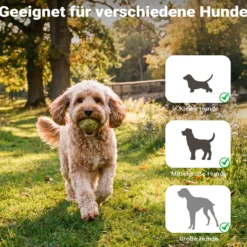 Wiltec Hunderampe 153 x 40 cm 50 kg 3-fach faltbar rutschfeste Autorampe für Hunde, klappbare Einstiegshilfe aus PP fürs Auto, SUV und Pick up