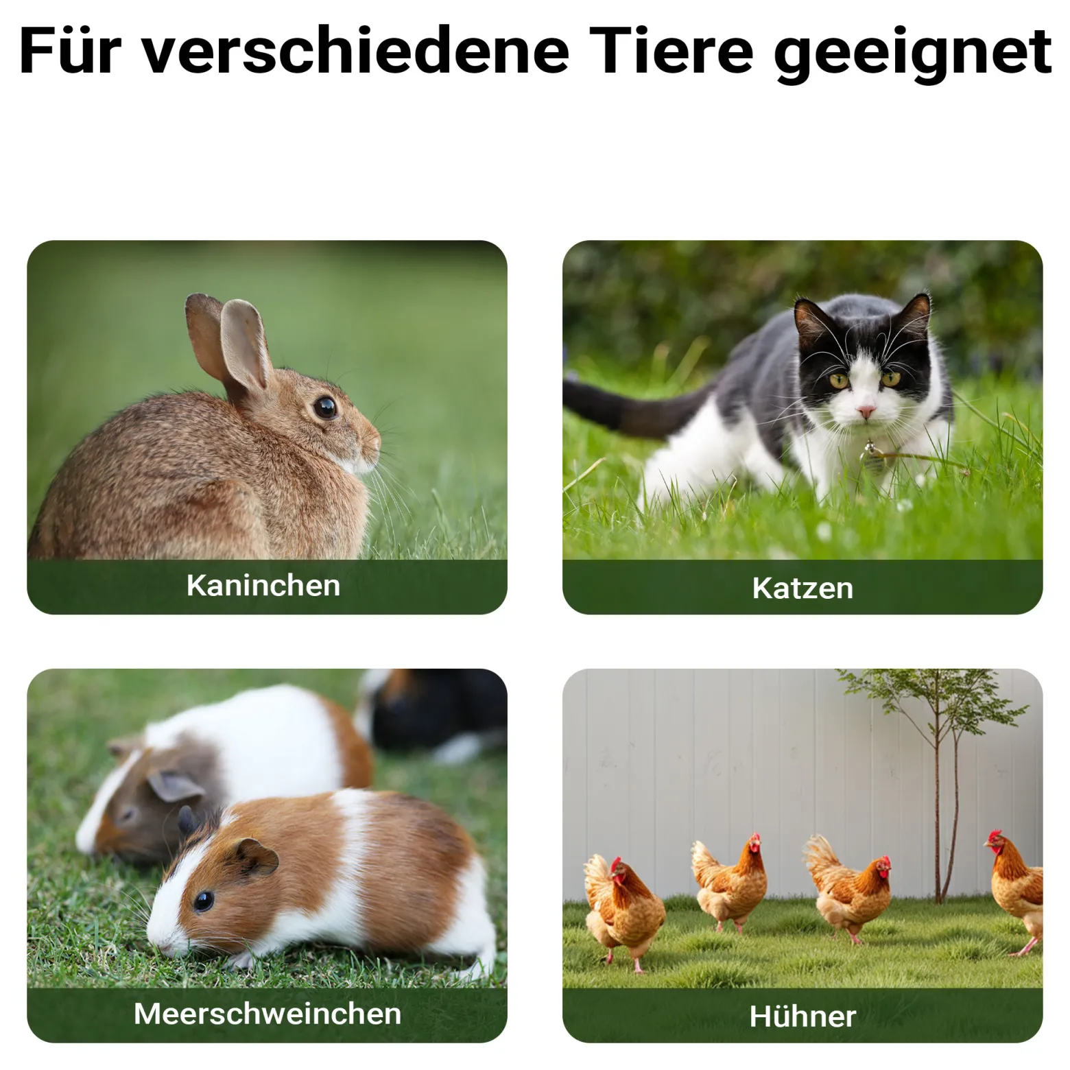 Wiltec Katzenhaus 420 x 515 x 430 mm aus Fichtenholz, Kleintierhaus Kaninchenstall mit Dach aufklappbar, Bitumeneindichtung, Tierstall für Garten/Balkon