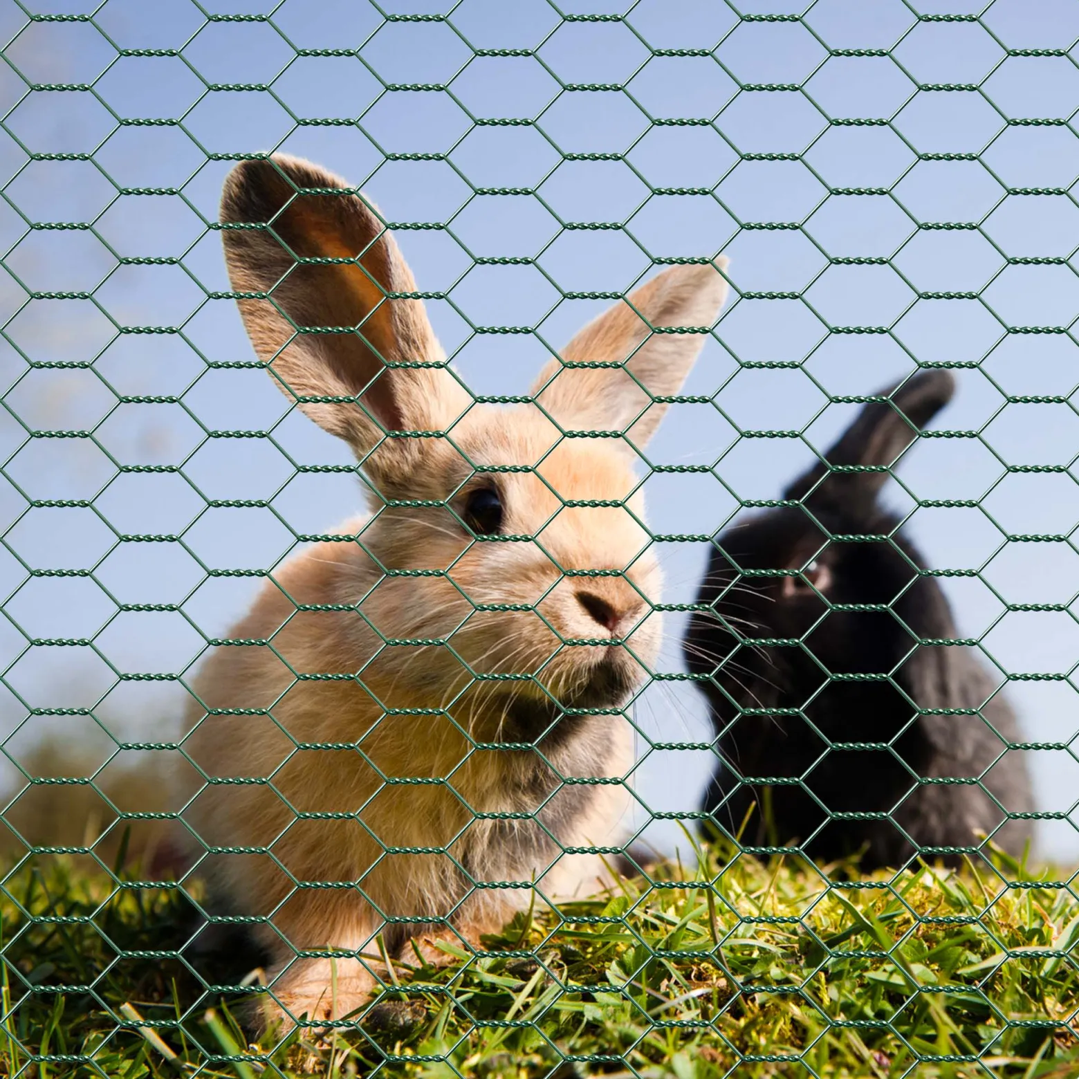 Wiltec Maschendrahtzaun Grün 120 cm x10 m, 0,6 mm Stärke 25x25 mm Maschengröße, Volierendraht 6-Eck aus Stahl verzinkt, Drahtgitter, Vogeldraht