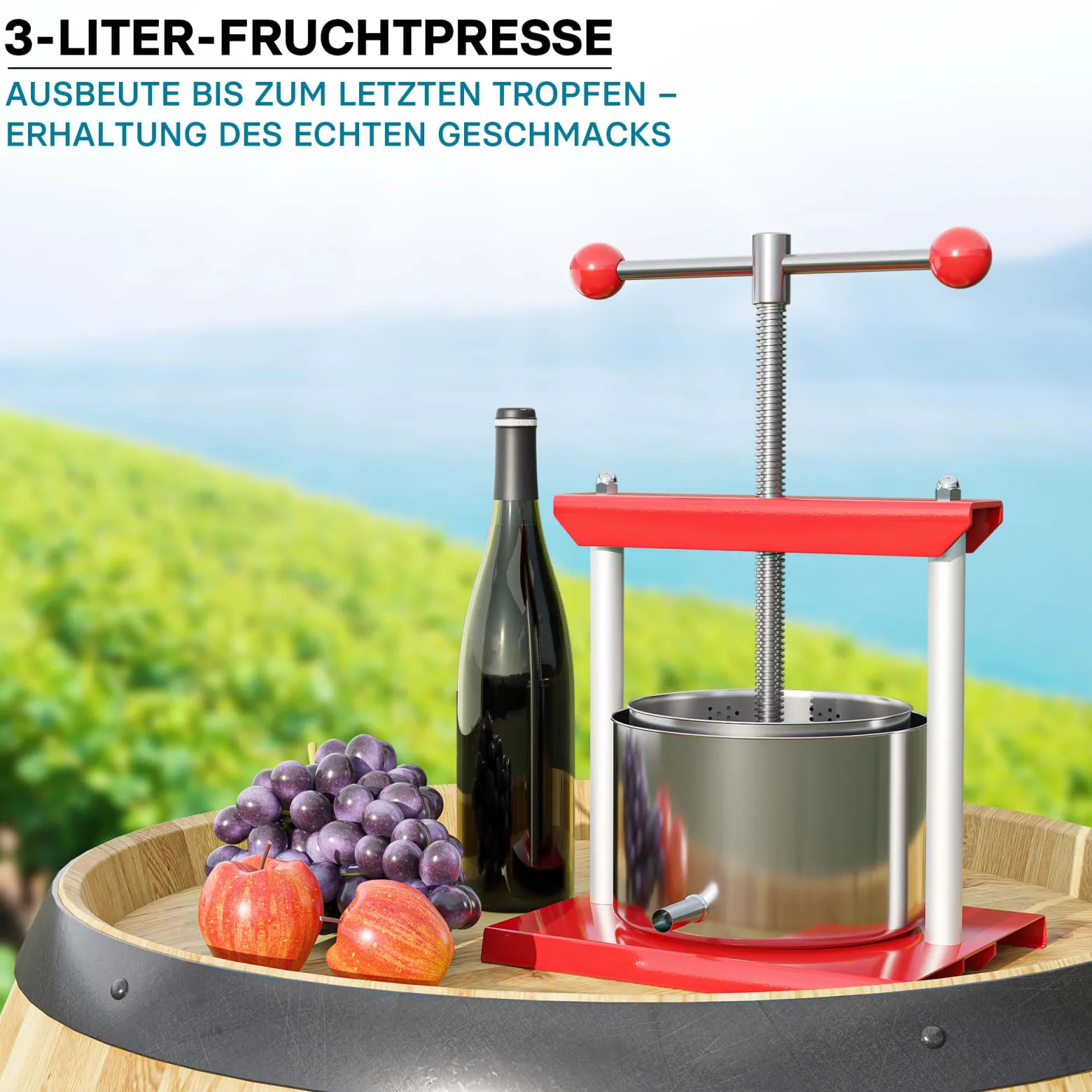Wiltec Obstpresse 3L Weinpresse aus Stahl Edelstahlkorb Fruchtpresse mit 2-armigen Drehgriff Saftpresse Beerenpresse