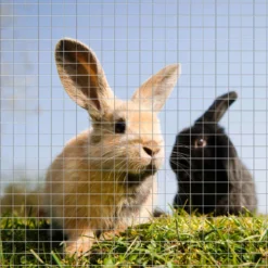 Wiltec Volierendraht 0,5 x 10 m, Hasendraht mit 6,3 mm Maschenweite sechseckig, Kaninchendraht Stahl verzinkt, wetterfester Hühnerdraht für Gehege