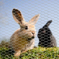Wiltec Volierendraht 25 x 0,5 m, Hasendraht mit 50 mm Maschenweite, Sechseckgeflecht Stahl verzinkt, wetterfester Hühnerdraht für Gehege