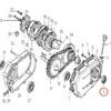 Wiltec Wellendichtring 30 x 46 x 8 für LIFAN 9-13 PS Motor – Benzinmotor Ersatzteil für Ölbadkupplung – Einzylinder für Kleinmaschinen & Karts, 4-Takt Motor & OHV Ventilsteuerung