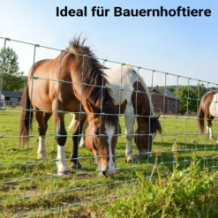 Wiltec Wildzaun 100/08/15 50 m lang, 100 cm hoch, 8 Drahtreihen, 15 cm Maschenbreite, Weidezaun aus Knotengeflecht, Drahtzaun z. B. für Forst- und Landwirtschaft